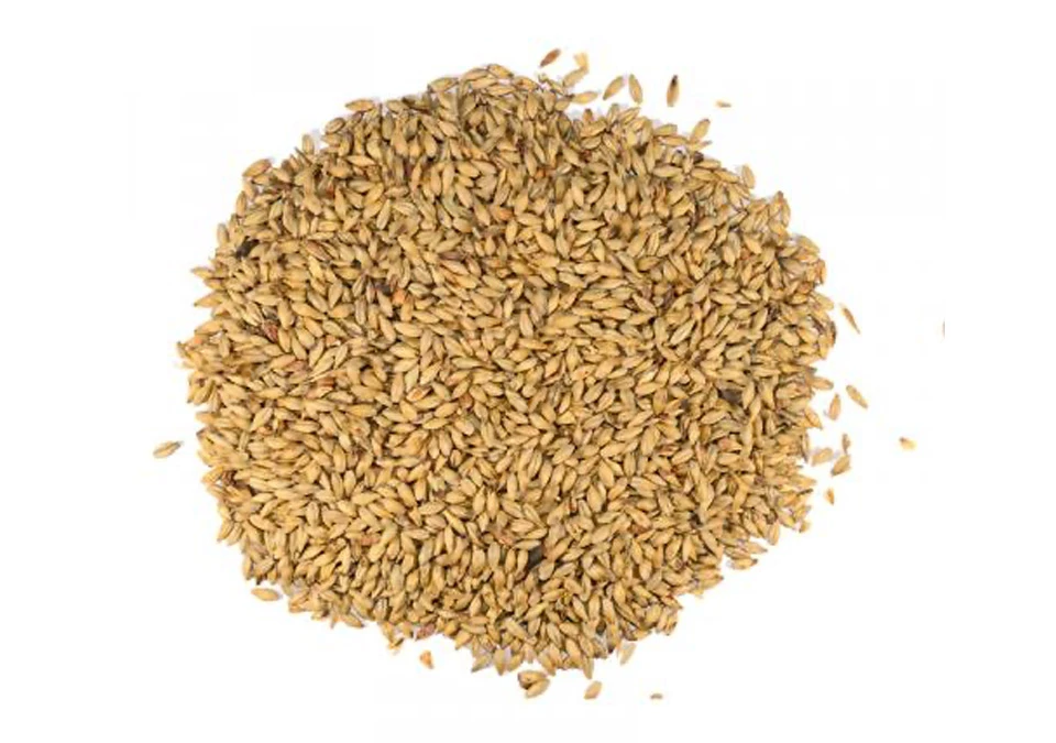 Dingemans Biscuit Malt 1kg Whole